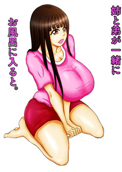 Download Ane to Otouto ga Issho ni Ofuro ni Hairu to.