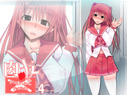 Download Nikutomo Tamane to Tamarare 4