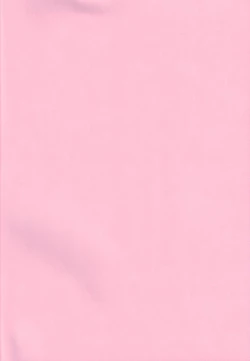 Page 3 of Ichigo Houjun Musume 100%