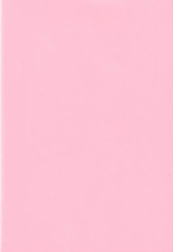 Page 40 of Ichigo Houjun Musume 100%