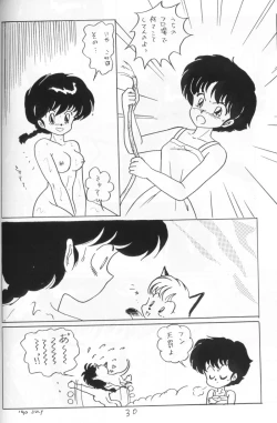 Page 29 of Ranma no Manma 4