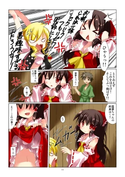 Page 9 of Touhou Megami Choukyou roku