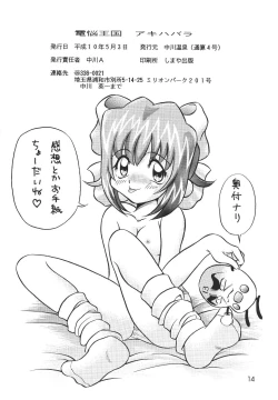 Page 13 of Dennou Teikoku Akihabara