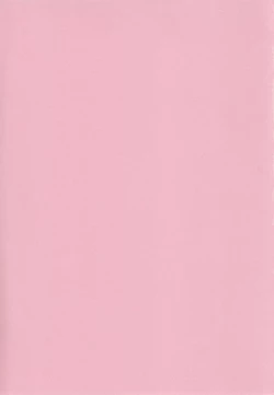 Page 4 of Yume miru Iroha