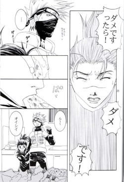 Page 24 of His Preferences