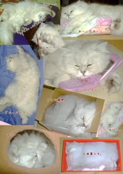 Page 73 of Artworks 2003-2007