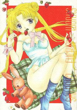 Download Sailor Q2 Fuckin' Works