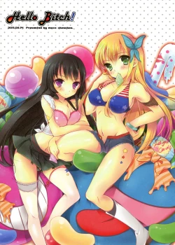 Page 3 of Hello Bitch!