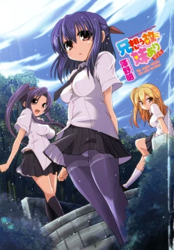 Page 6 of Ani Omou Yue ni Imouto Ari Genteiban