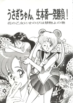 Page 12 of Usagi-chan Namahonban Ippatsu Shoubu