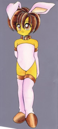 Page 3 of Shinshi Hosha