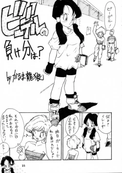Page 24 of Calpis Daihyakka