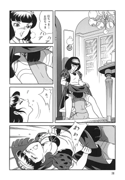 Page 19 of SUPLEX XXI