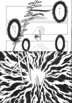 Page 49 of MIDGARD 9.5