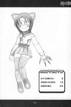 Page 3 of MAI-CCHING