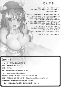 Page 26 of Tenshi no Nureta Hirusagari