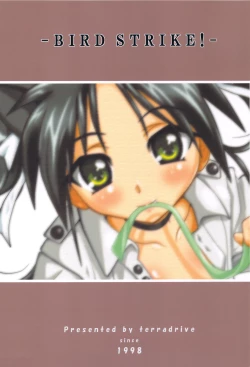 Page 28 of Bird Strike!