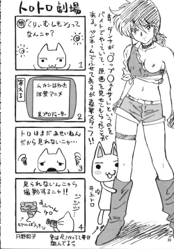 Page 19 of Chousen Ame Ver.15