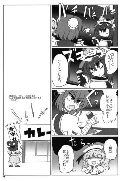 Page 21 of TOHO N+ sei-ka