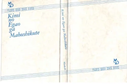 Page 3 of Kimi no egao ga mabushikute