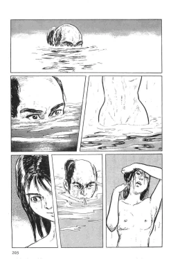 Page 206 of Hanzou no Mon Vol.5