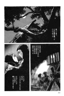 Page 215 of Hanzou no Mon Vol.5