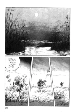 Page 254 of Hanzou no Mon Vol.5