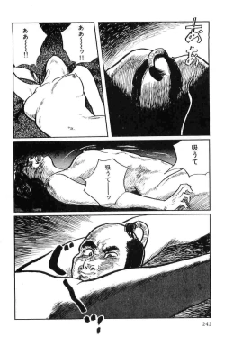 Page 245 of Hanzou no Mon Vol.9