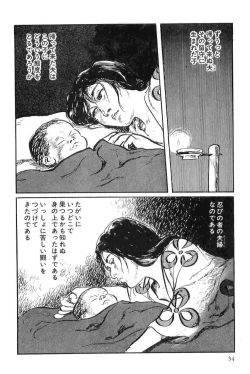 Page 37 of Hanzou no Mon Vol.9