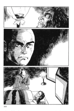 Page 208 of Hanzou no Mon Vol.12