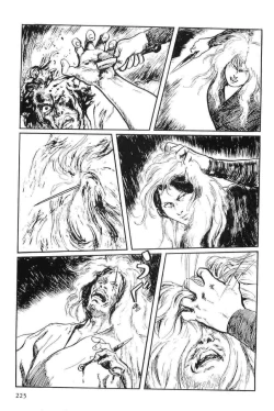 Page 228 of Hanzou no Mon Vol.12