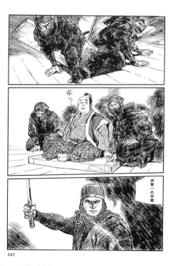 Page 248 of Hanzou no Mon Vol.12