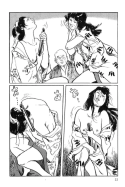 Page 25 of Hanzou no Mon Vol.12