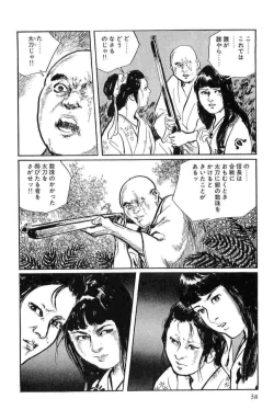 Page 41 of Hanzou no Mon Vol.12