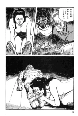 Page 19 of Hanzou no Mon Vol.13