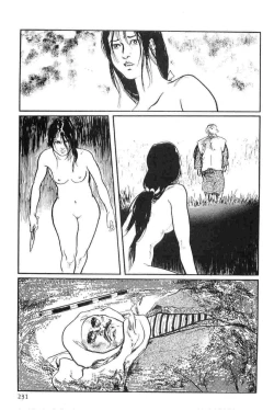 Page 234 of Hanzou no Mon Vol.13