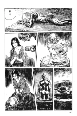 Page 265 of Hanzou no Mon Vol.13