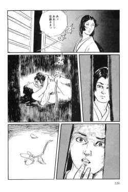 Page 229 of Hanzou no Mon Vol.14