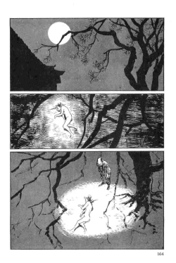 Page 167 of Hanzou no Mon Vol.15