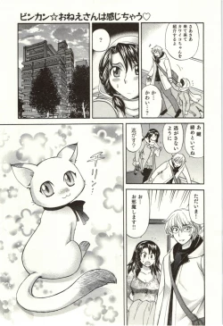 Page 14 of Binkan Oneesan wa Kanjichau