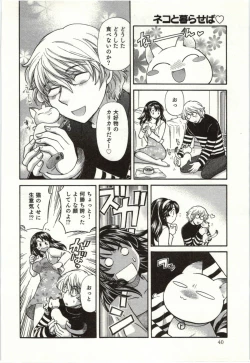 Page 41 of Binkan Oneesan wa Kanjichau