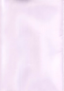 Page 2 of MERRY ANGEL X