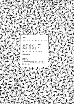 Page 31 of Expedia Ver 1.0A