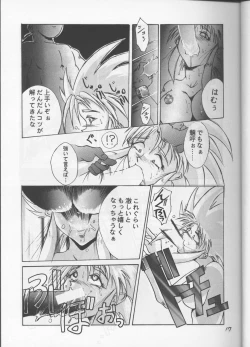 Page 16 of Shadow=Defence