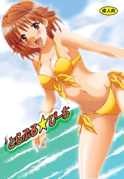 Download Toraburu ☆ Beach