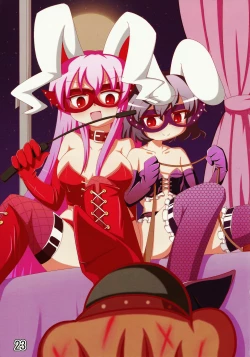 Page 23 of Touhou Joousama Goudou