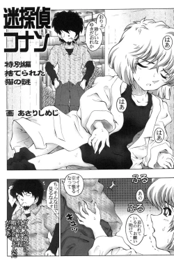 Page 4 of Meitantei Conan Tokubetsuhen Suterareta Neko No Nazo
