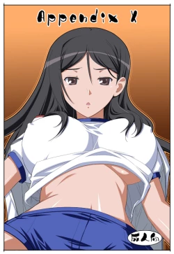 Page 1 of APPENDIX X