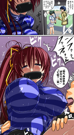 Download Mizuki Shikomarechu