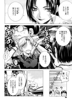 Page 67 of Angraecum